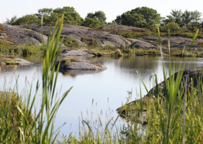 Skärgård stockholm