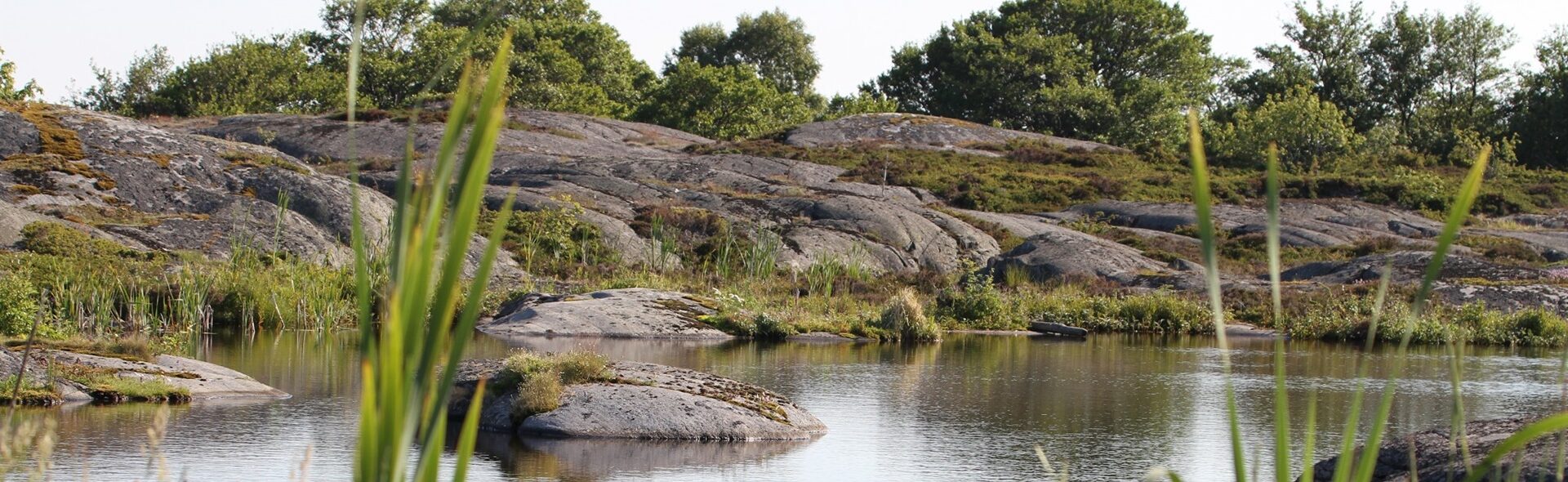 Stockholm archipelago 9